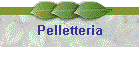 Pelletteria